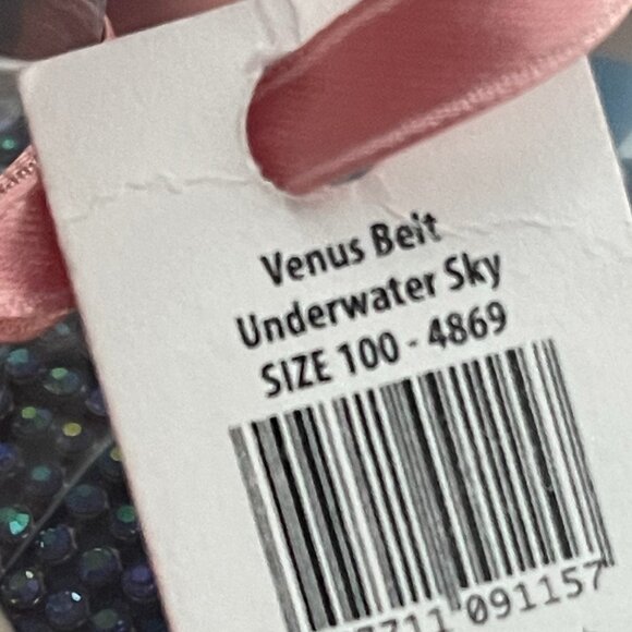 Benedetta Bruzziches | Venus Rhinestone Crystal Mesh Belt, Size 100 - Picture 3 of 4